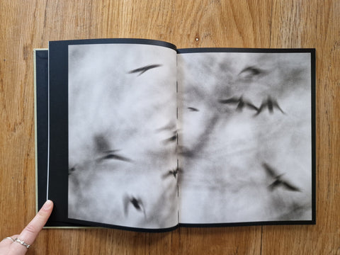 Des Oiseaux - Setanta Books