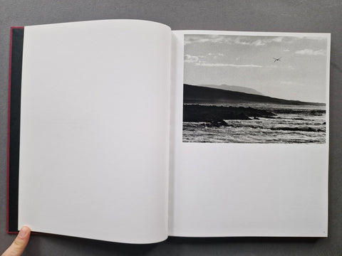 Des Oiseaux - Setanta Books