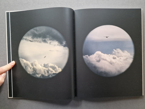 Des Oiseaux - Setanta Books