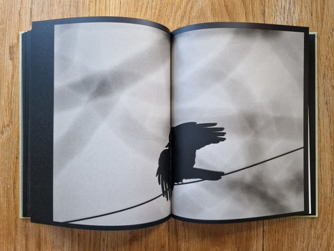 Des Oiseaux - Setanta Books
