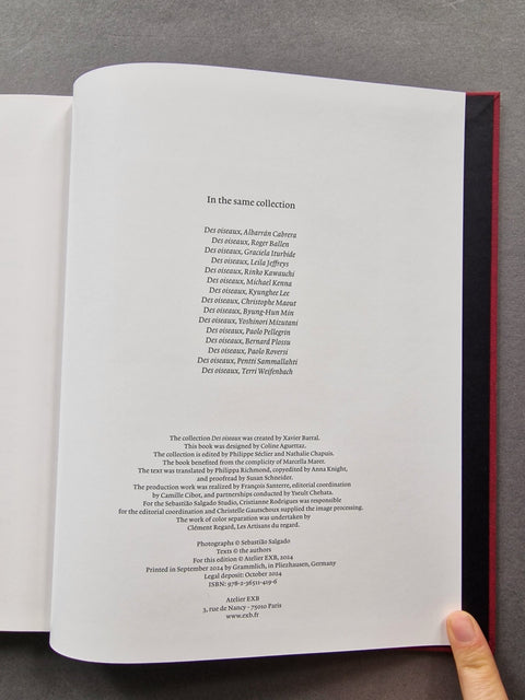 Des Oiseaux - Setanta Books