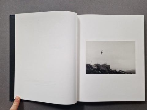Des Oiseaux