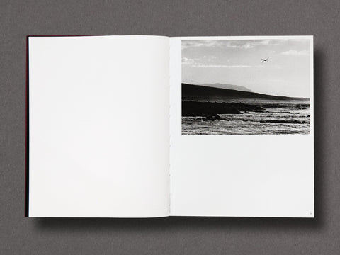 Des Oiseaux Limited Edition with Print