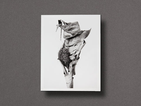 Des Oiseaux Limited Edition with Print