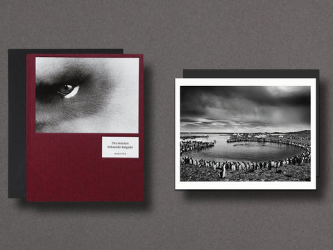Des Oiseaux Limited Edition with Print - Setanta Books