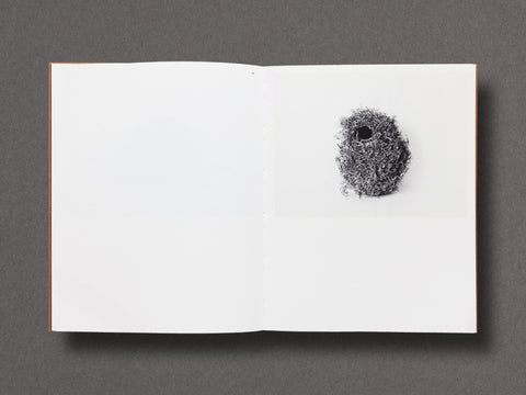 Des Oiseaux Limited Edition with Print