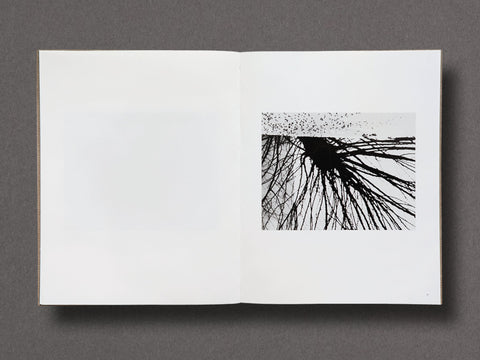 Des Oiseaux Limited Edition with Print