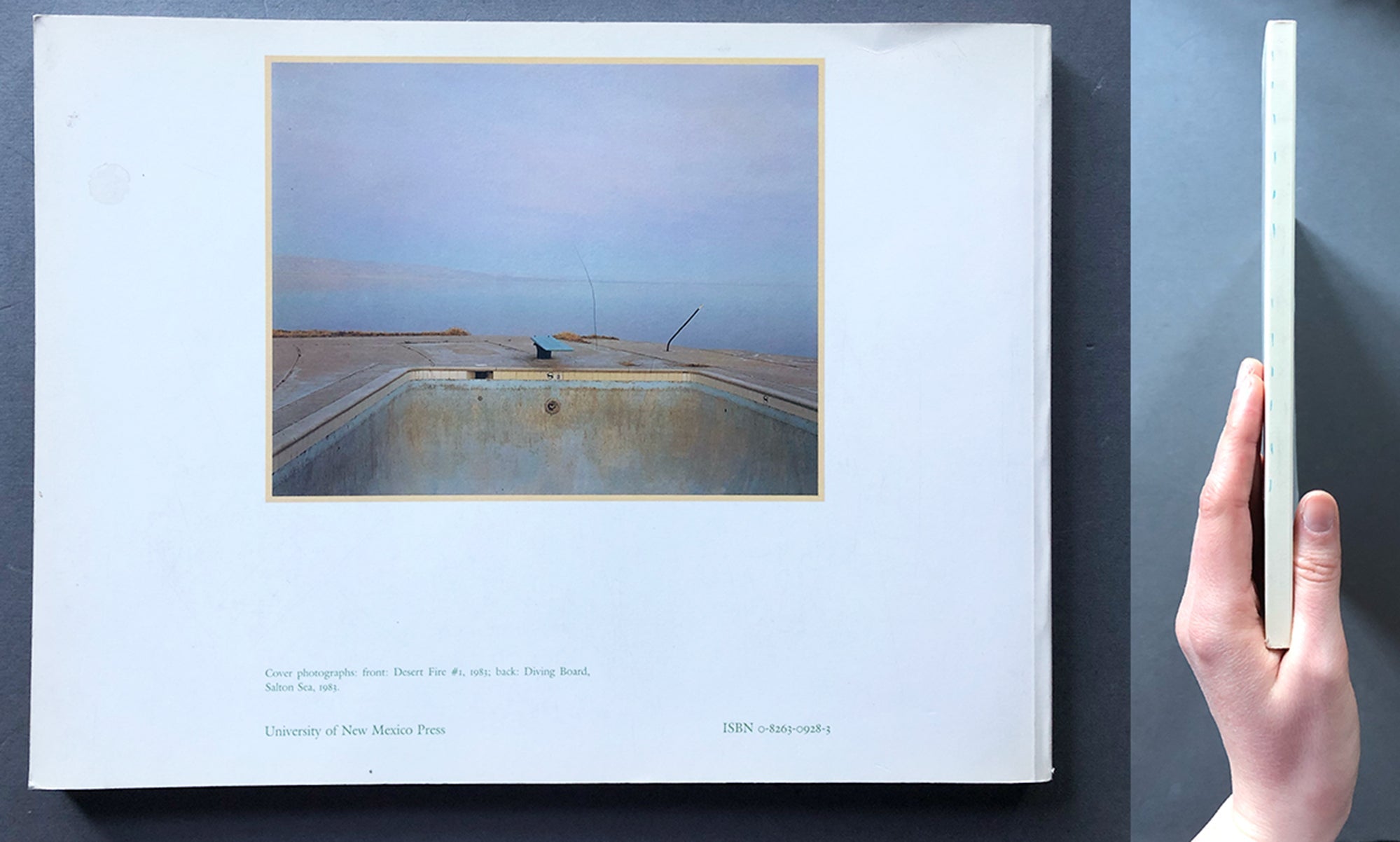 Buy Desert Cantos by Richard Misrach Online – Setanta Books