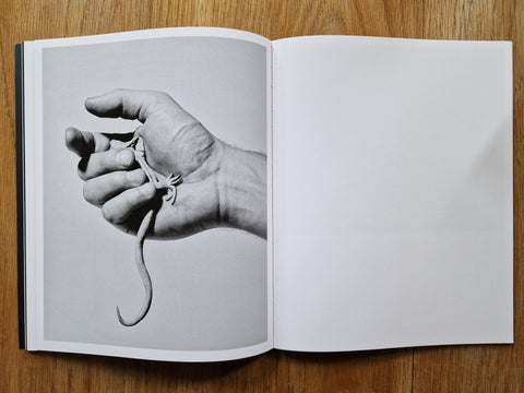 Diachronicles - Setanta Books