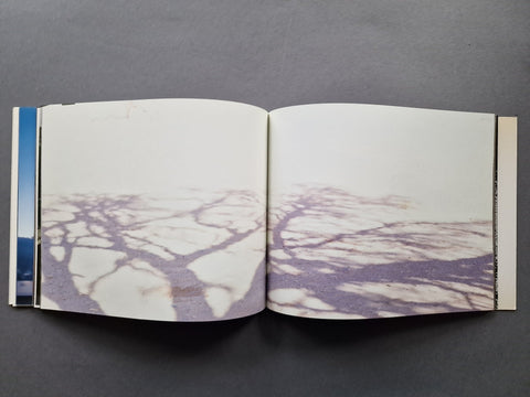 Diamond Sea (Access/ Excess Series) - Setanta Books