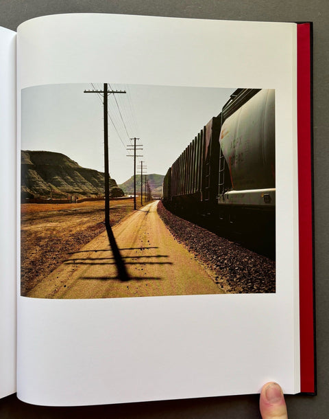 Diesel Fried Chicken - Setanta Books