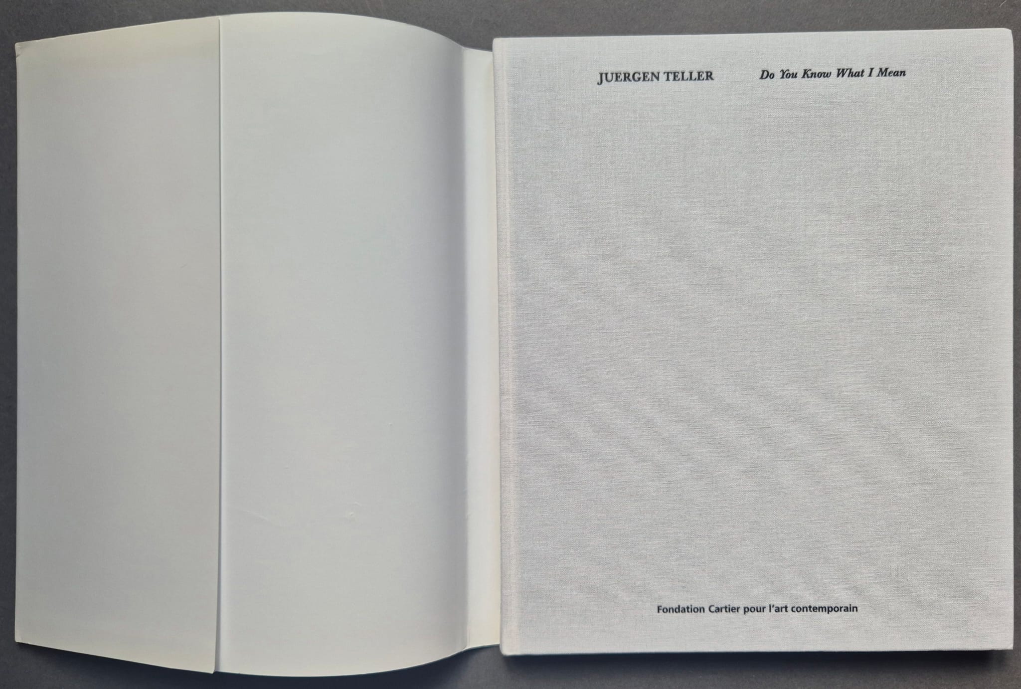 Buy Do You Know What I Mean by Juergen Teller online – Setanta Books