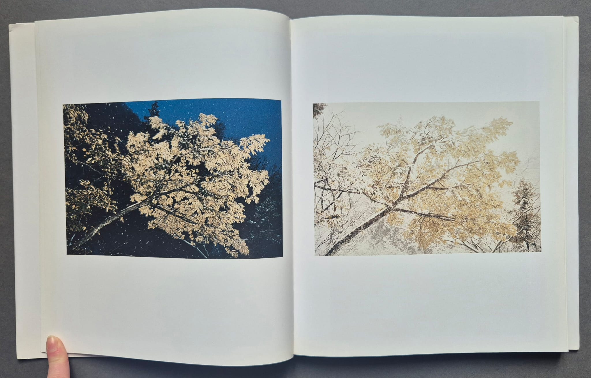 Buy Do You Know What I Mean by Juergen Teller online – Setanta Books