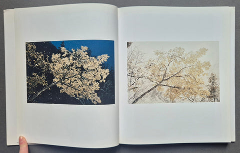 Do You Know What I Mean - Setanta Books