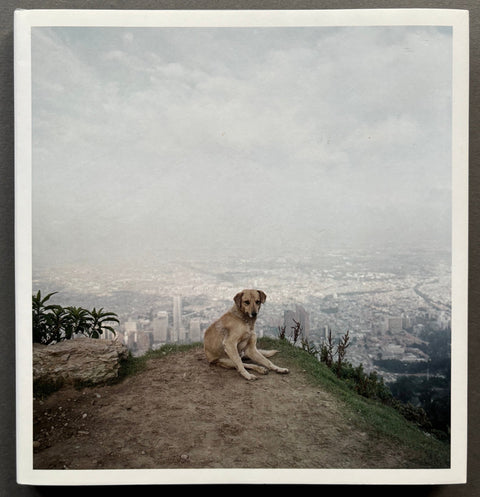 Dog Days Bogotá - Setanta Books