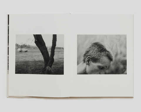 DOGBREATH - Setanta Books