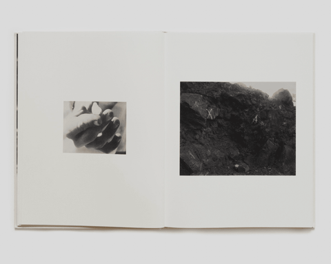 DOGBREATH - Setanta Books