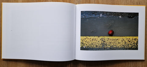 Don't Just Tell Them, Show Them (1st) - Setanta Books