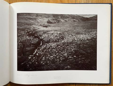 Dreaming the Gokstadt - Setanta Books