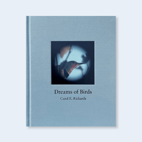 Dreams of Birds - Setanta Books