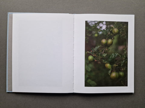 Duet on the Apple Blossom - Setanta Books