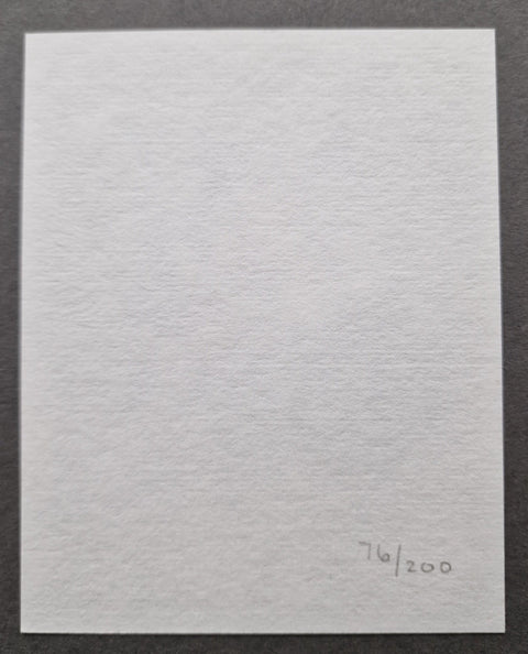 Duet on the Apple Blossom - Setanta Books