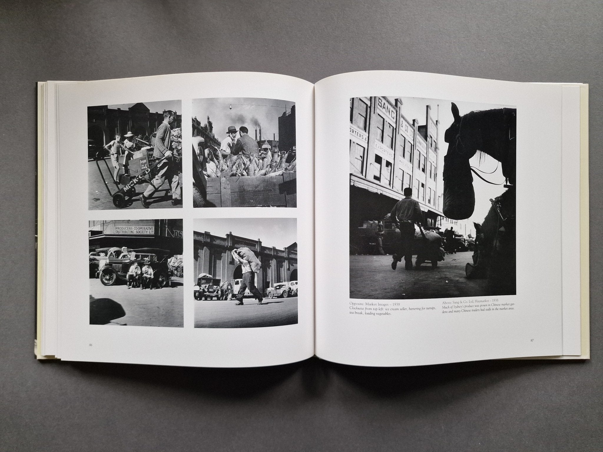 DUPAIN'S SYDNEY 写真集 アートブック Buy Dupain's Sydney by Max Dupain Online – Setanta Books