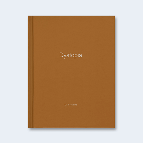 Dystopia (One Picture Book) - Setanta Books