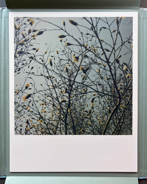 Early Work 1997 - Setanta Books