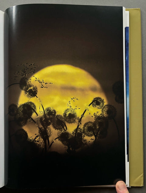 Elemental - Setanta Books