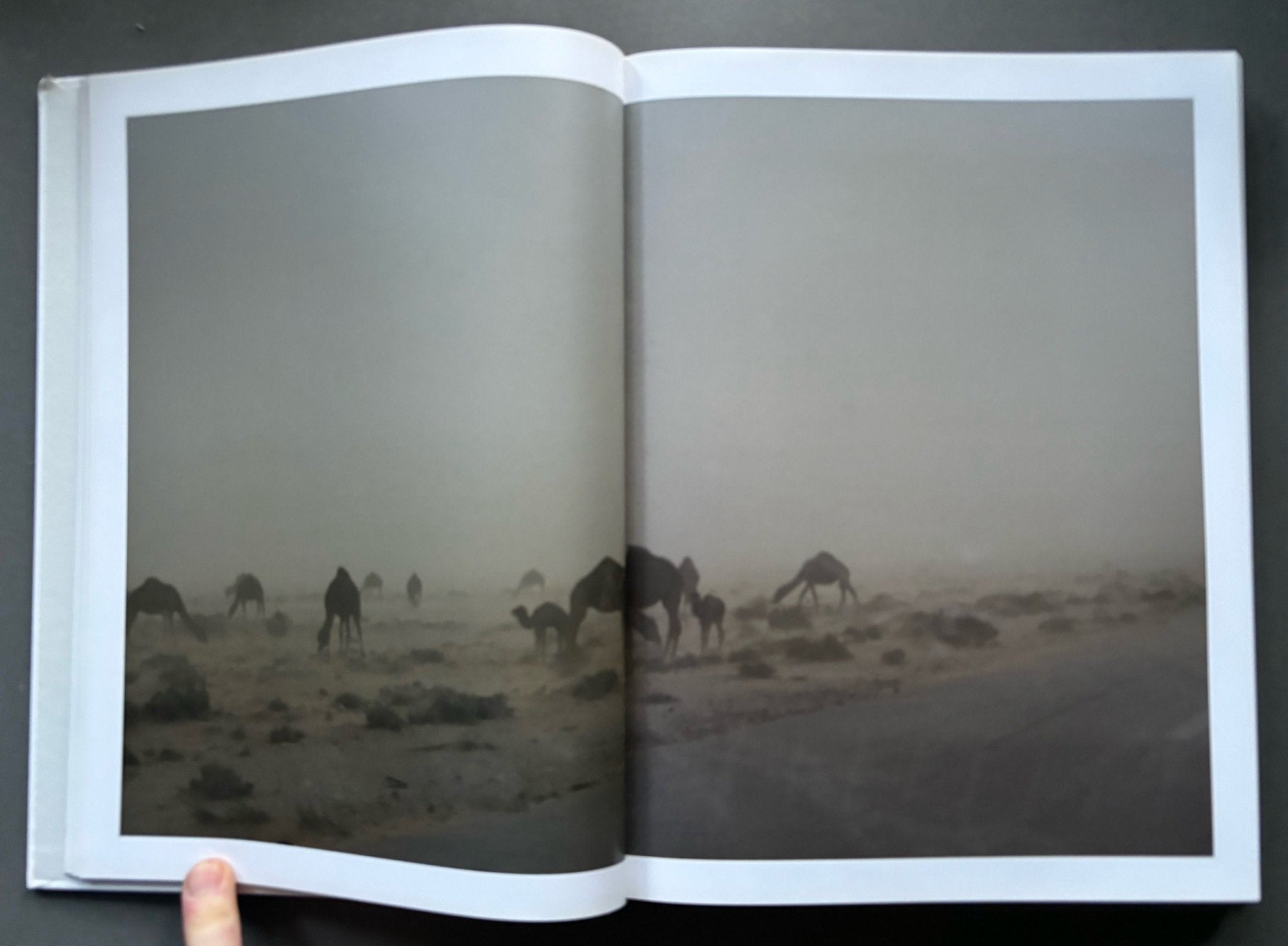 Buy Eleven by Philip-Lorca diCorcia – Setanta Books