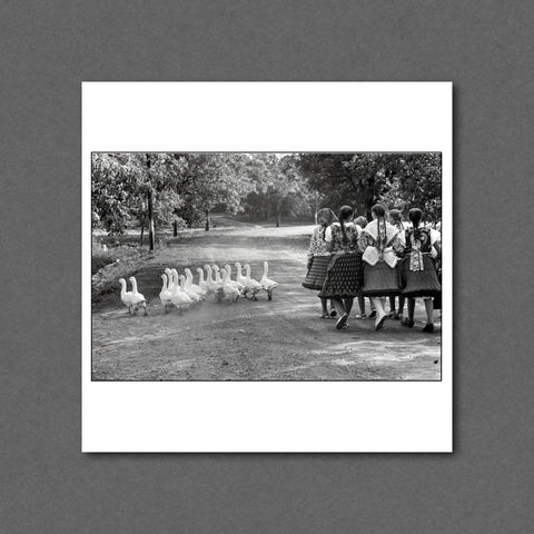 Elliott Erwitt Magnum Square Prints