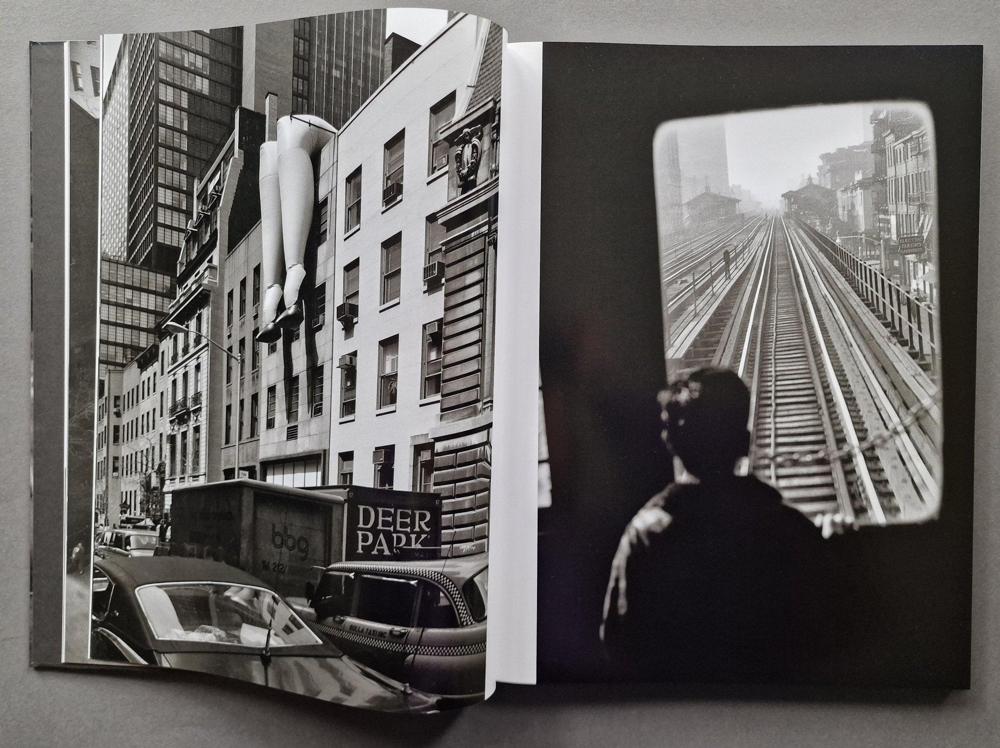 Buy Elliott Erwitt's New York Online – Setanta Books