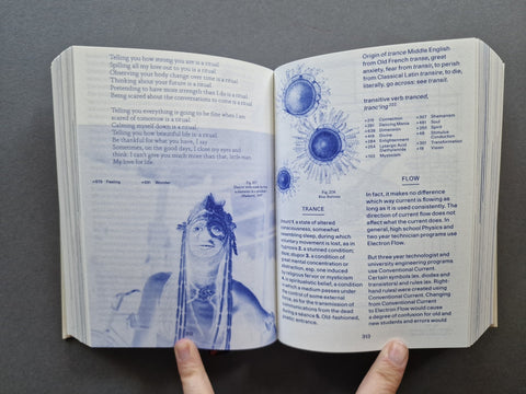 Encyclopedia of the Uncertain: A Meditation On Doubt - Setanta Books