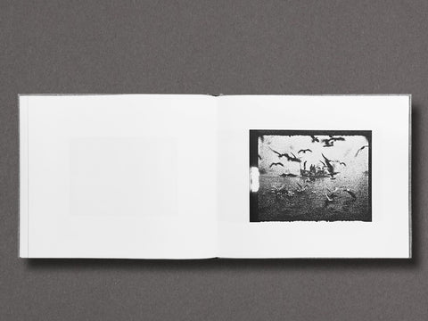 End Time City Limited Edition with Choice of 2 Prints