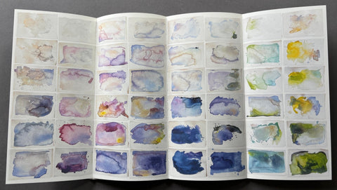 Ephemeral field Journal - Climate and Love in Claude Monet's Garden - Setanta Books