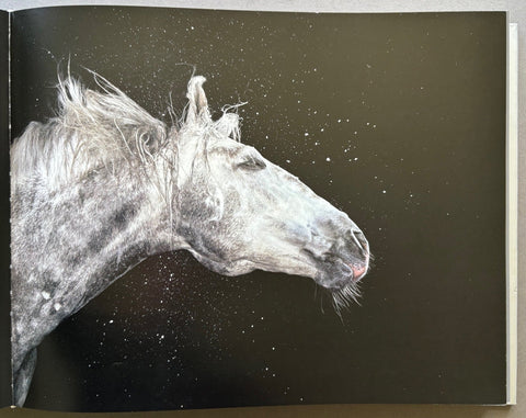 Equus - Setanta Books