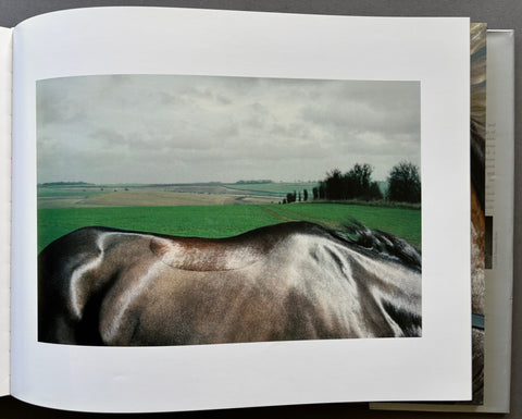 Equus - Setanta Books