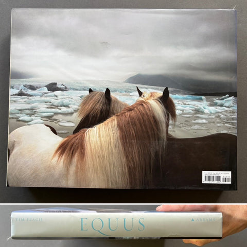 Equus - Setanta Books