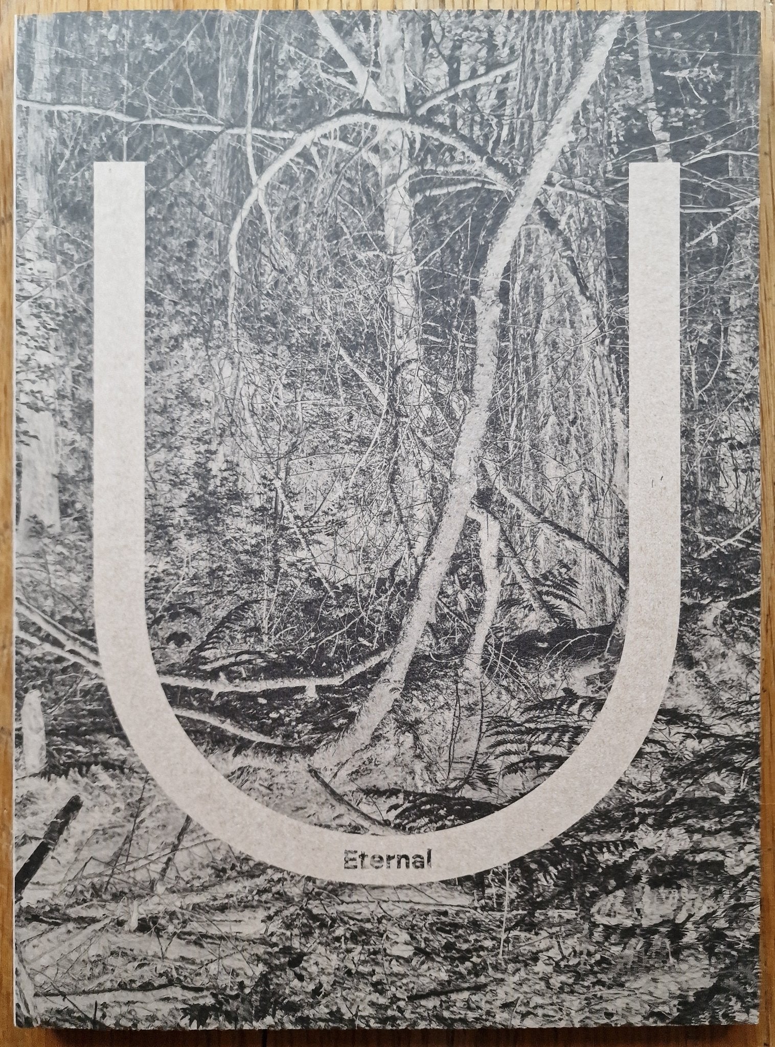 Hubert Humka Buy Eternal U by Hubert Humka Online – Setanta Books