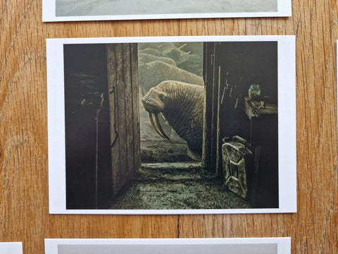 Evgenia Arbugaeva: Hyperborea, Set of 10 Postcards - Setanta Books