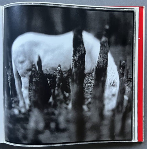 Ezekiel's Horse - Setanta Books