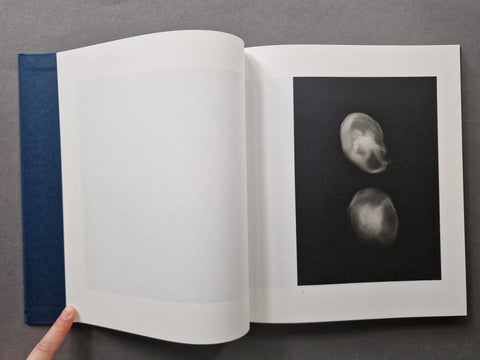False Friends (Print Options Available) - Setanta Books