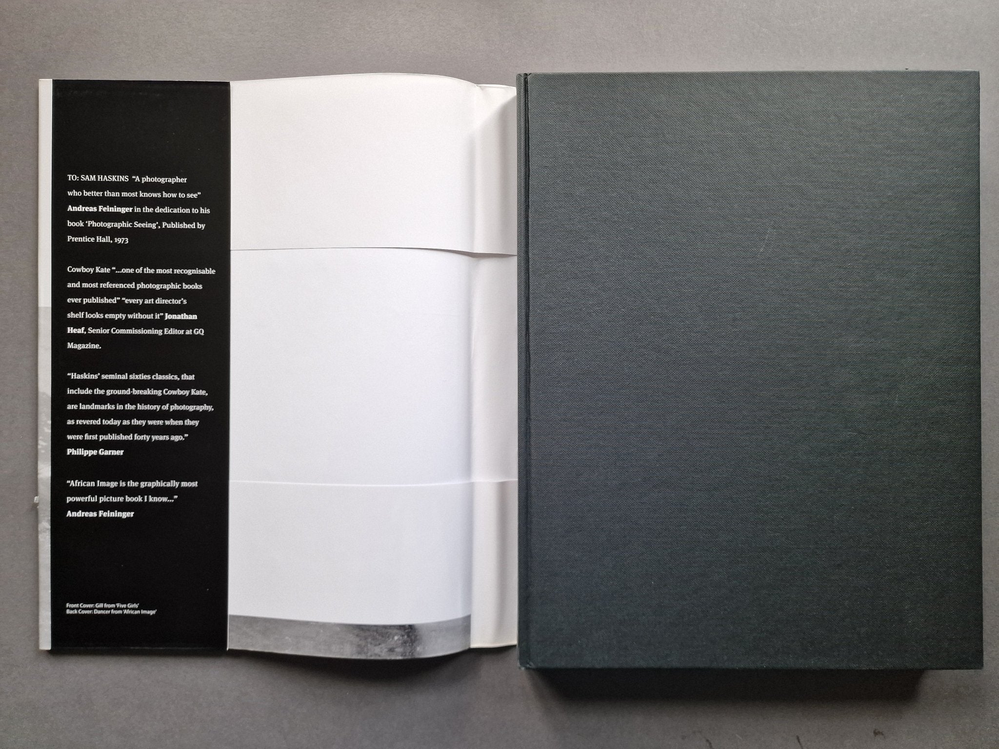 Buy Fashion Etcetera by Sam Haskins Online – Setanta Books