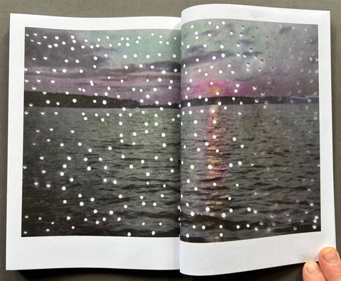 Firelight - Setanta Books