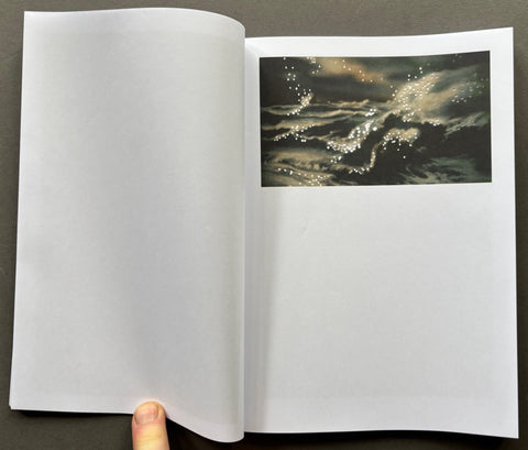 Firelight - Setanta Books