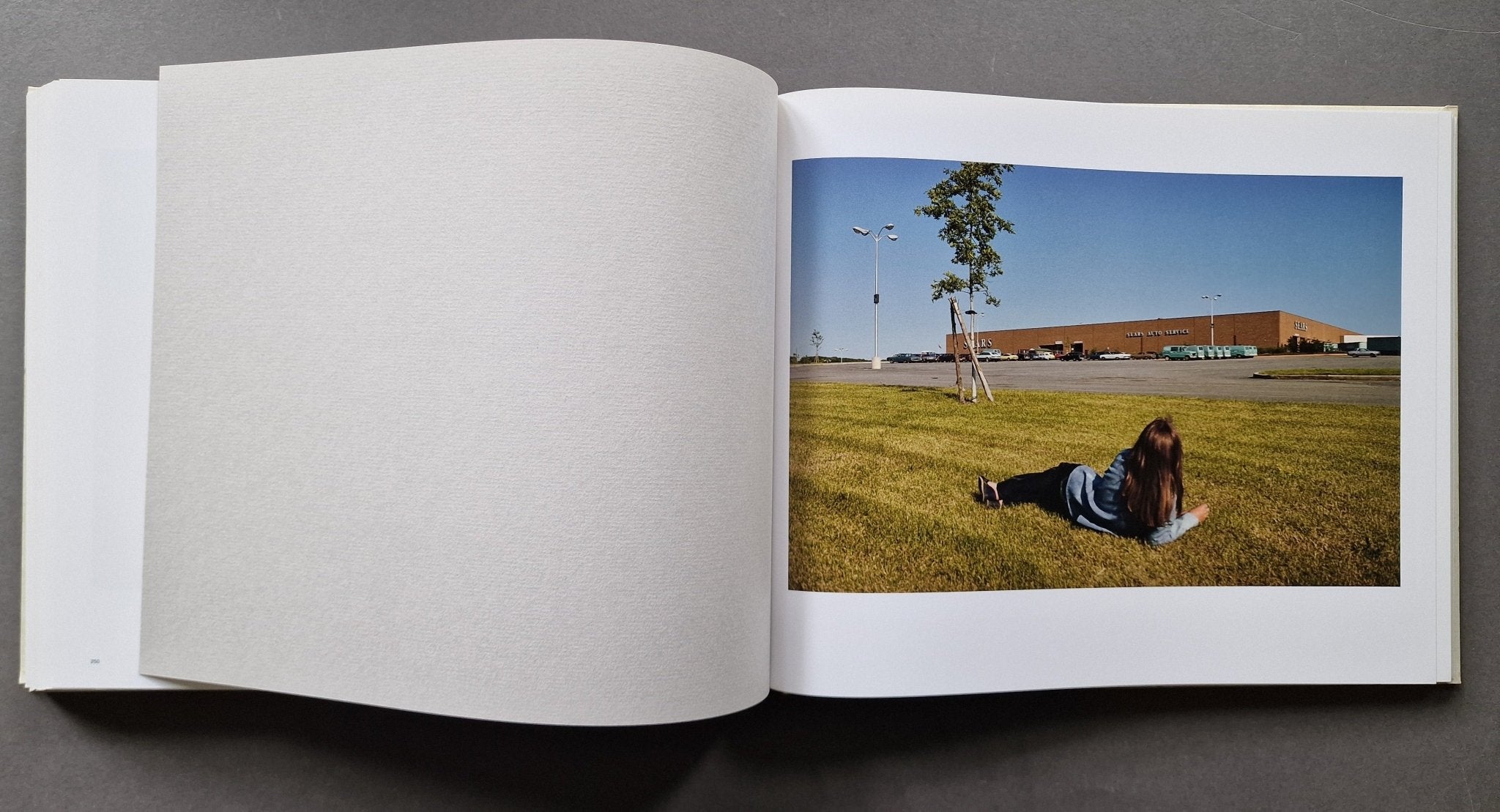 Buy First Pictures by Joel Sternfeld Online – Setanta Books