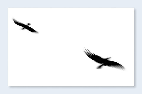 Fleeting Gestures - Setanta Books