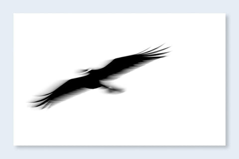 Fleeting Gestures - Setanta Books