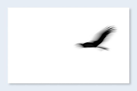 Fleeting Gestures - Setanta Books